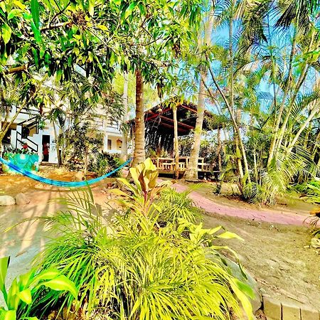 El Eden Escondido Puerto Escondido (Oaxaca) Exterior foto